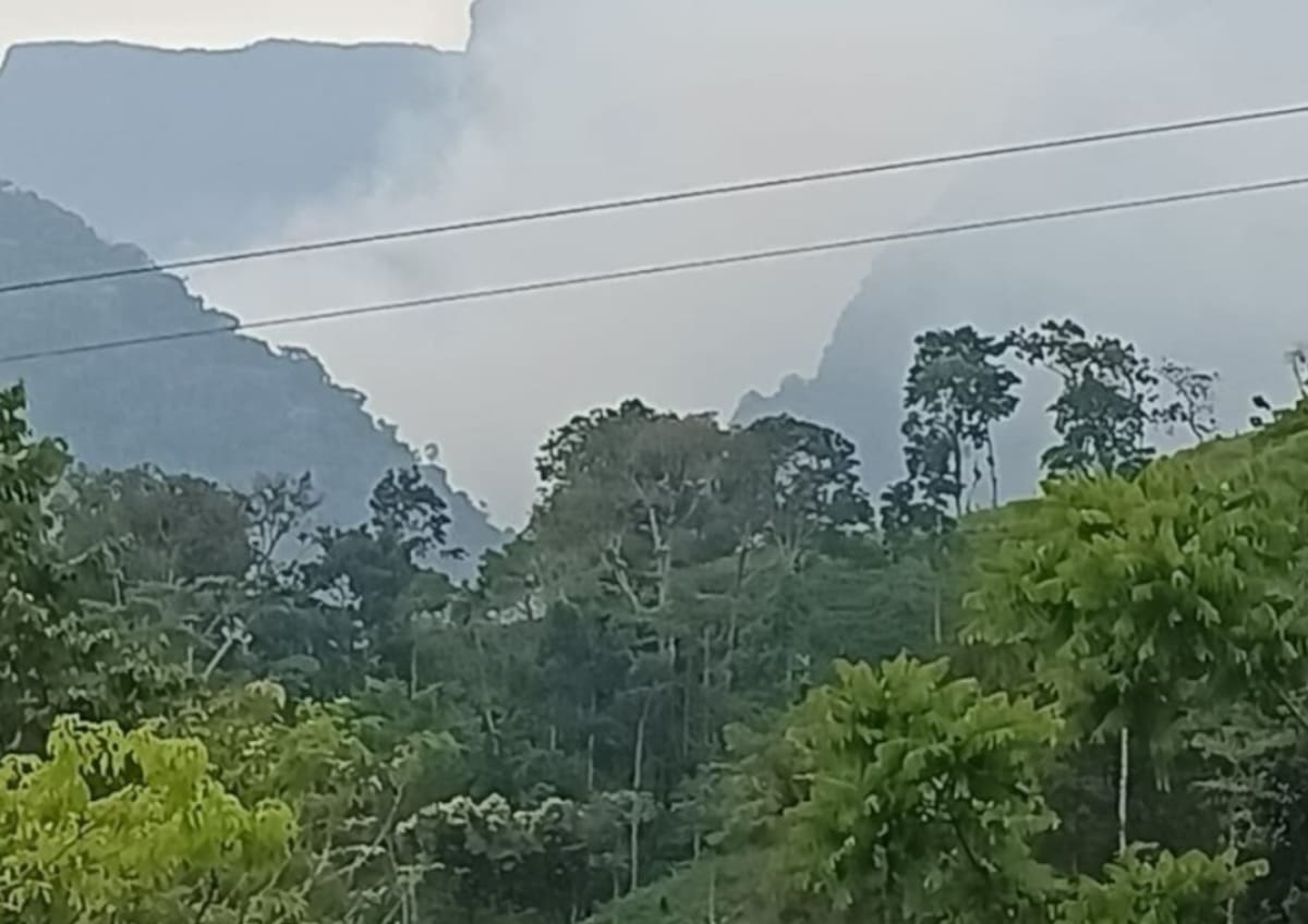 Incendio forestal en El Peñón completa más de 24 horas: piden apoyo aéreo para contener las llamas