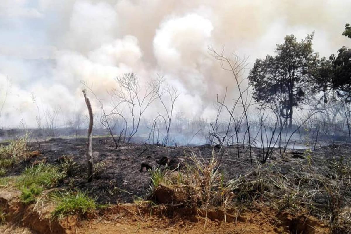 Autoridades municipales solicitan a la comunidad no hacer quemas para evitar incendios forestales.