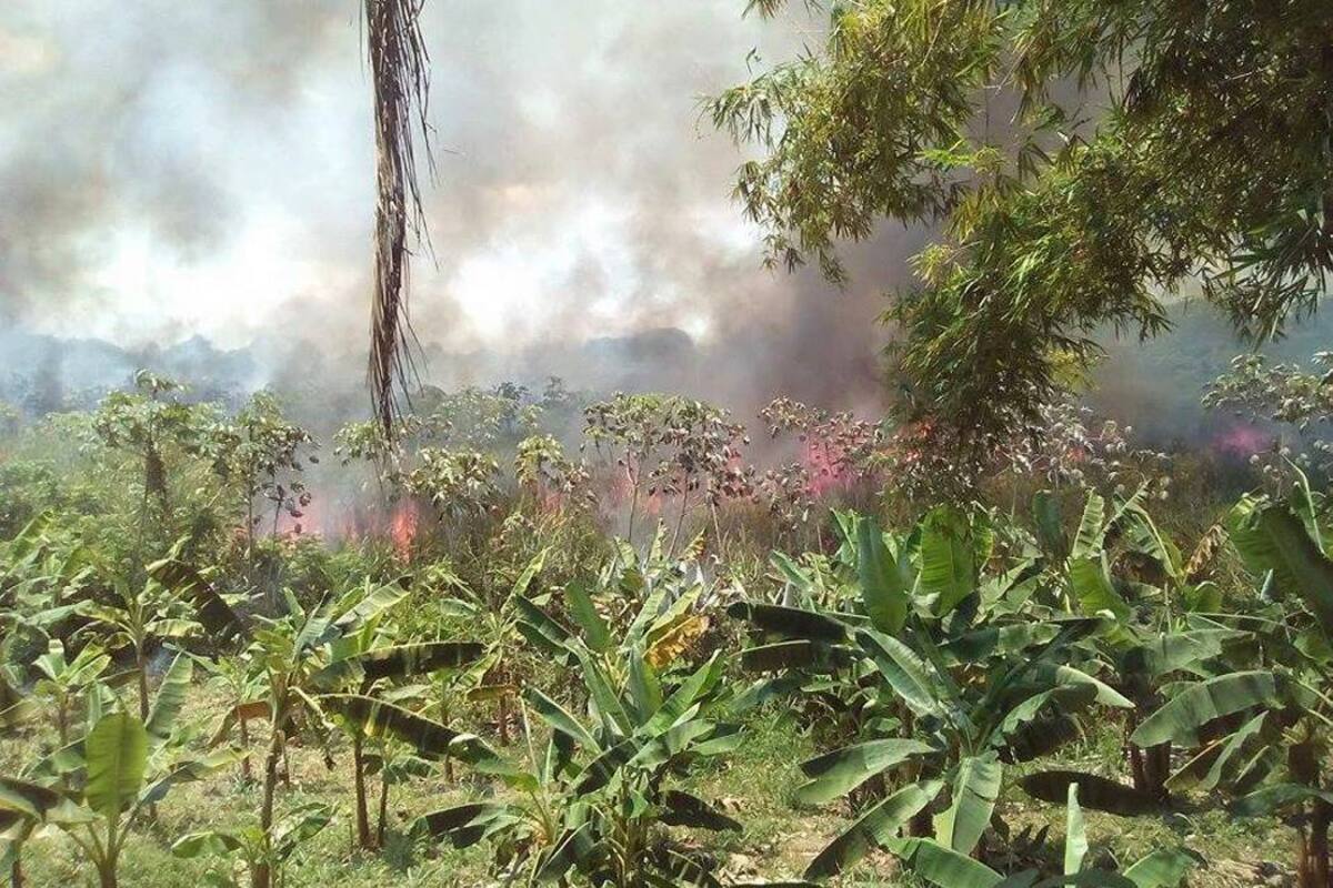 En la imagen se observa como las llamas se apoderaron de la vegetación del sector de Gorgona, ubicado en el barrio Bellavista. (Foto: Foto suministrada/ VANGUARDIA LIBERAL)