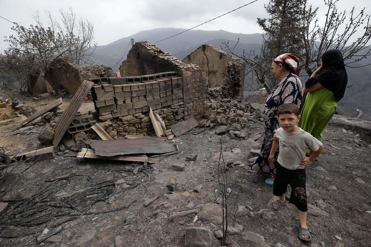 Los incendios forestales se extendieron por varias provincias de Argelia y dejaron víctimas mortales, decenas de heridos y familias evacuadas. Fotografía: EFE
