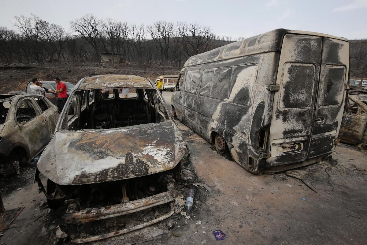 Las llamas avanzaron por zonas del norte y este de Argelia, mientras equipos de emergencia trabajaban para contener los incendios y evacuar a las comunidades afectadas. Fotografía: EFE