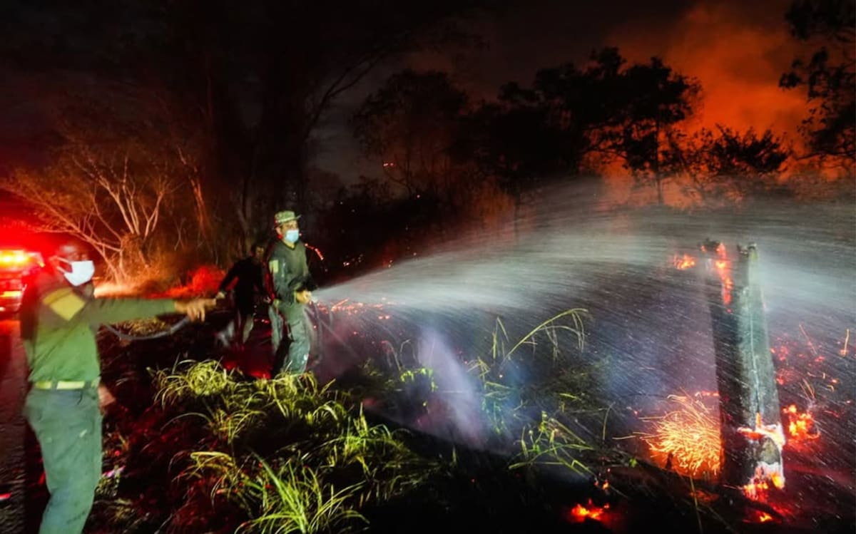 Fotografía tomada de la cuenta de Instagram @gobertolima de la Gobernación del Tolima que muestra a integrantes de la Policía de Colombia intentando apagar un incendio forestal en una zona rural entre los municipios de San Luis y Gualanday del departamento del Tolima (Colombia). EFE/ @gobertolima