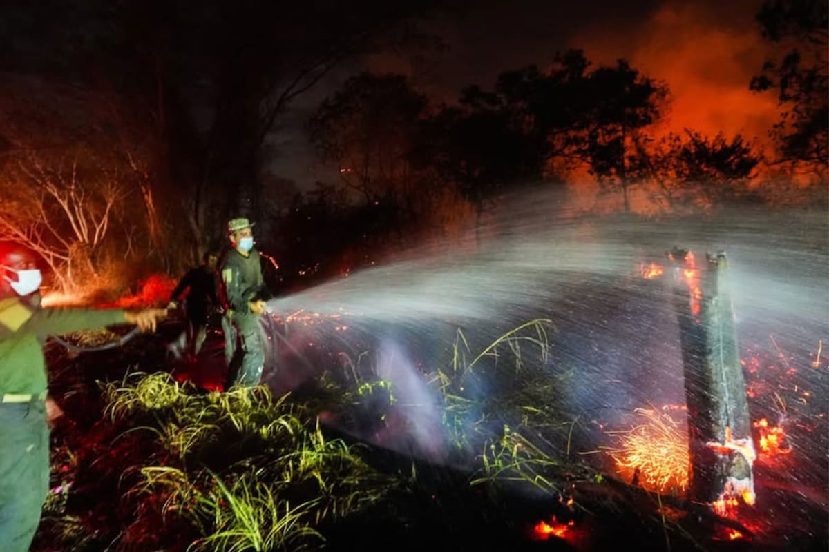 Fotografía tomada de la cuenta de Instagram @gobertolima de la Gobernación del Tolima que muestra a integrantes de la Policía de Colombia intentando apagar un incendio forestal en una zona rural entre los municipios de San Luis y Gualanday del departamento del Tolima (Colombia). EFE/ @gobertolima