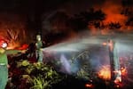 Incendios en Tolima: autoridades investigan si algunas llamas fueron provocadas