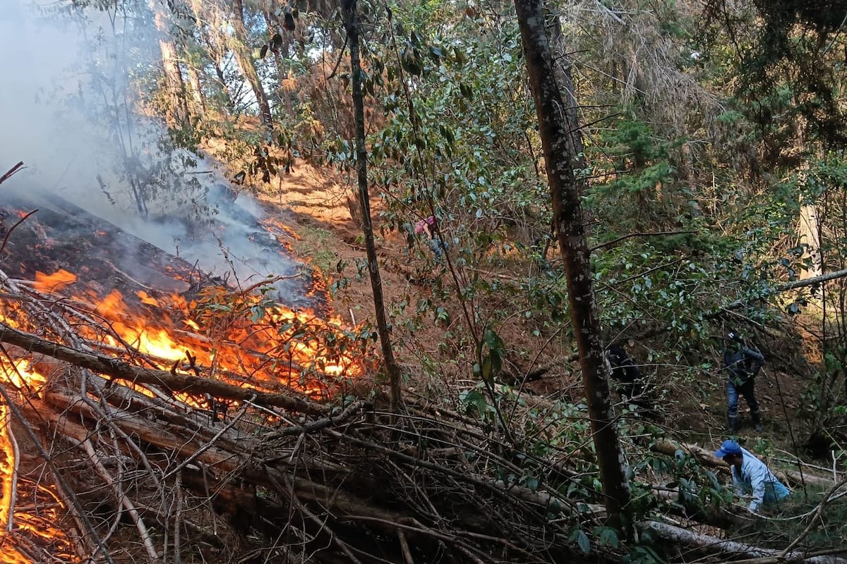 Incendios en Santander: autoridades tratan de contener las llamas en Charta | Suministradas