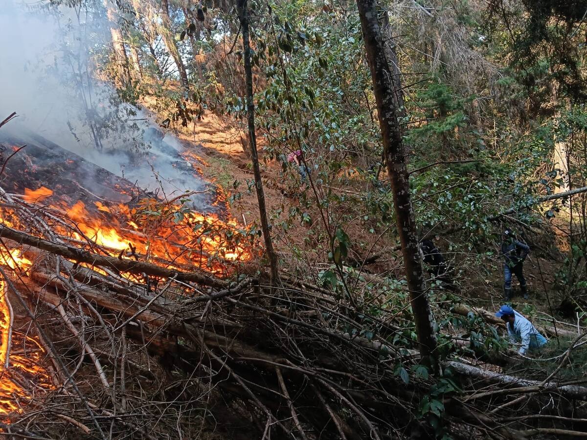Incendios en Santander: autoridades tratan de contener las llamas en Charta | Suministradas