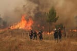 Incendios en Grecia: más de 6.700 hectáreas quemadas y miles de evacuados cerca de Atenas