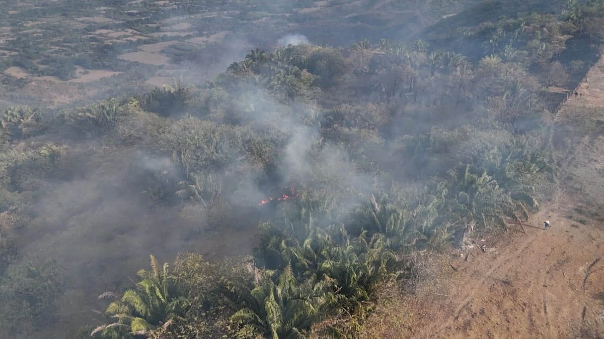 Incendios forestales en el Tolima. // Foto: tomada de Facebook - Gobernación del Tolima.