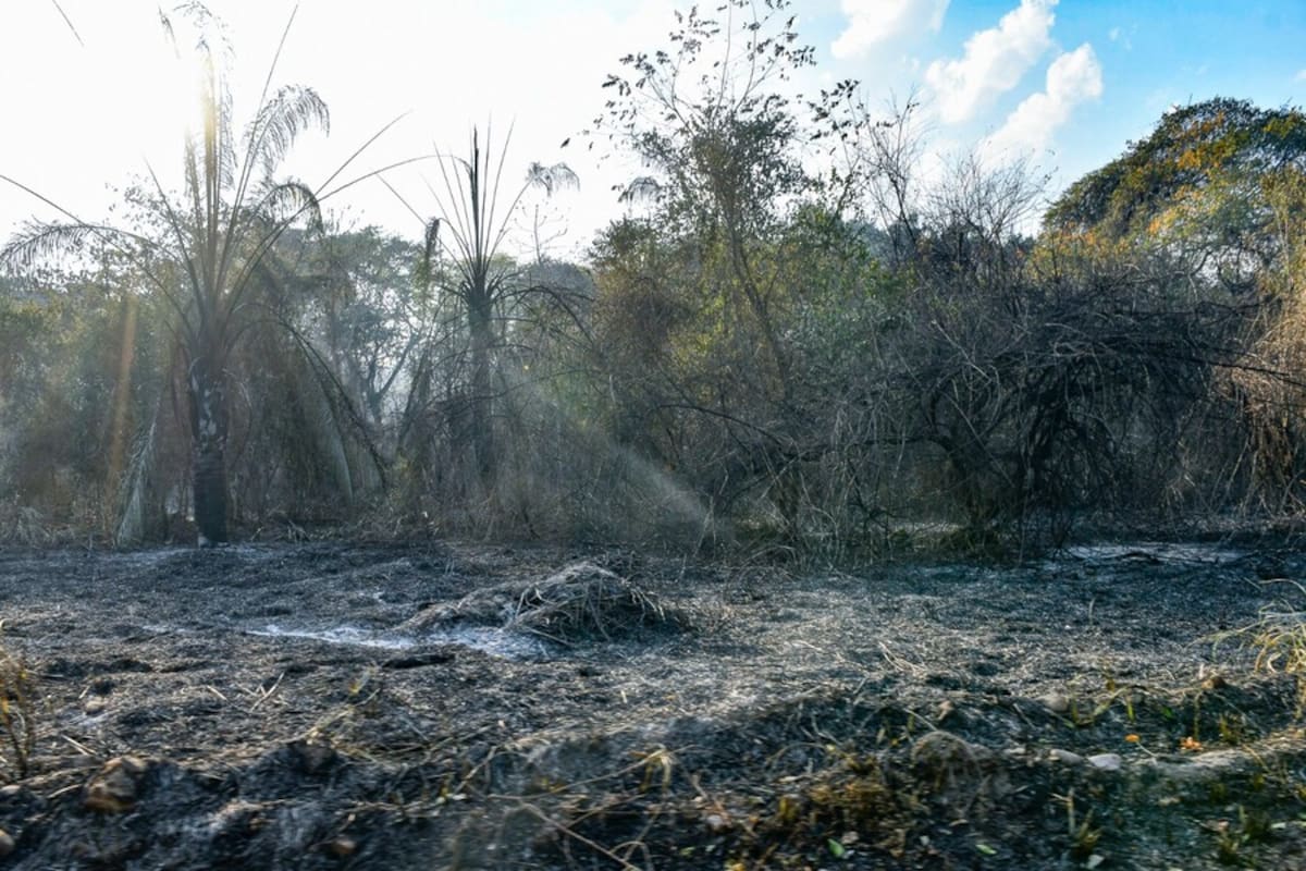 Incendios forestales. Van más de 31.000 hectáreas afectadas en el Tolima por la quemas. Fotografías cortesía Corporación Autónoma Regional del Tolima (Cortolima).