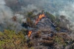 Incendios en el Tolima: hay focos activos en 11 municipios y dos capturados