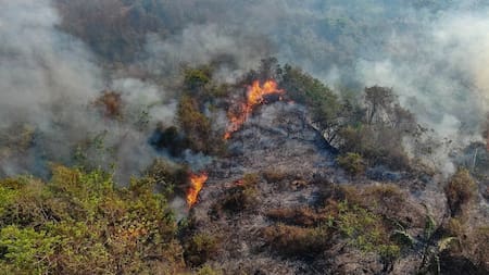 Incendios en el Tolima: hay focos activos en 11 municipios y dos capturados