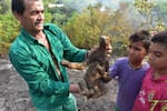 La fauna silvestre: otra víctima de los incendios forestales en el Tolima y Cundinamarca