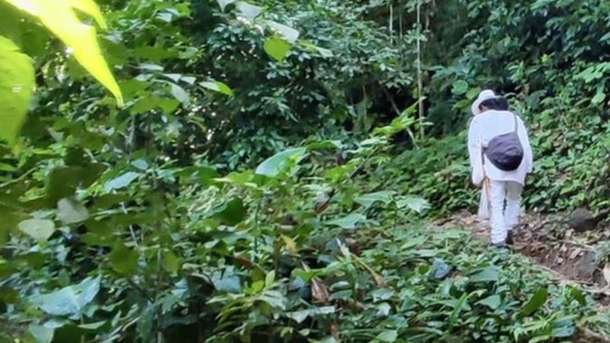 Comunidades indígenas de la Sierra Nevada de Santa Marta acompañaron el descenso del ciudadano estadounidense y facilitaron su traslado a un punto seguro para la evacuación aérea.