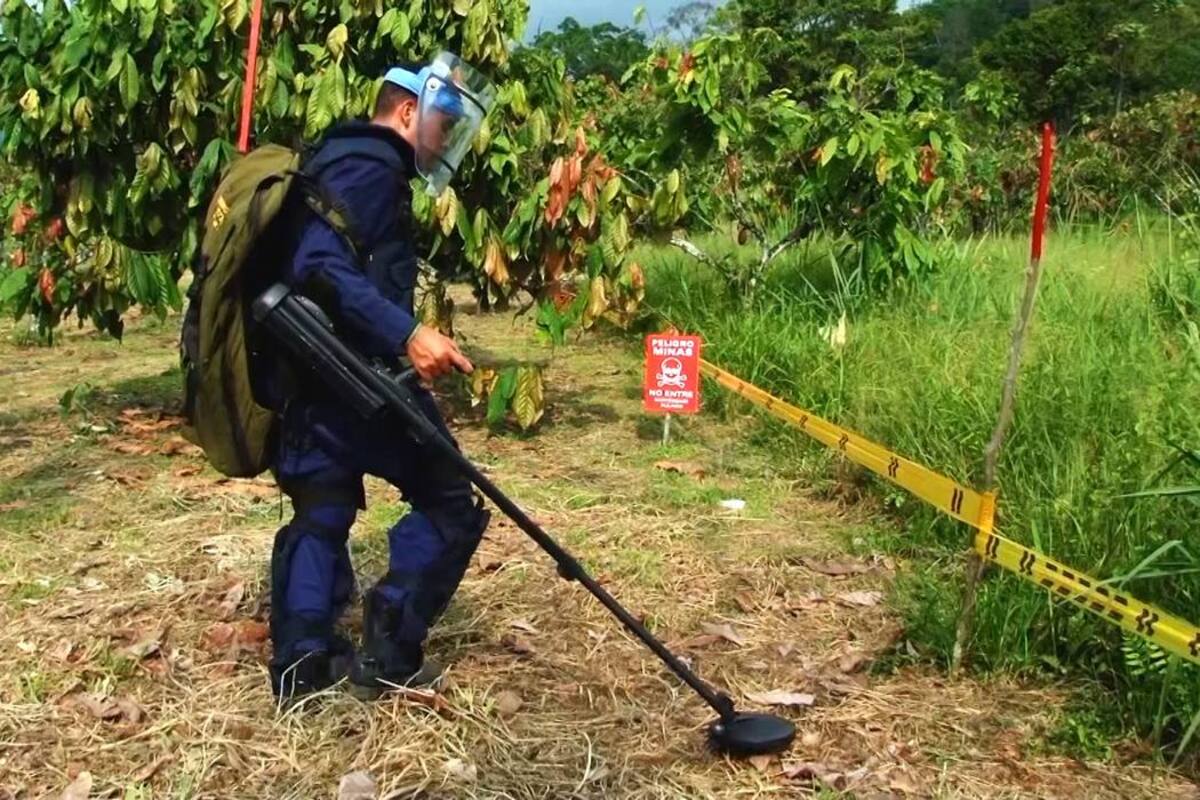 Por ahora las autoridades tienen conocimiento de presencia de artefactos explosivos en las veredas Peroles, Poblado, San José y Vizcaina baja. (Foto: Archivo/VANGUARDIA LIBERAL)
