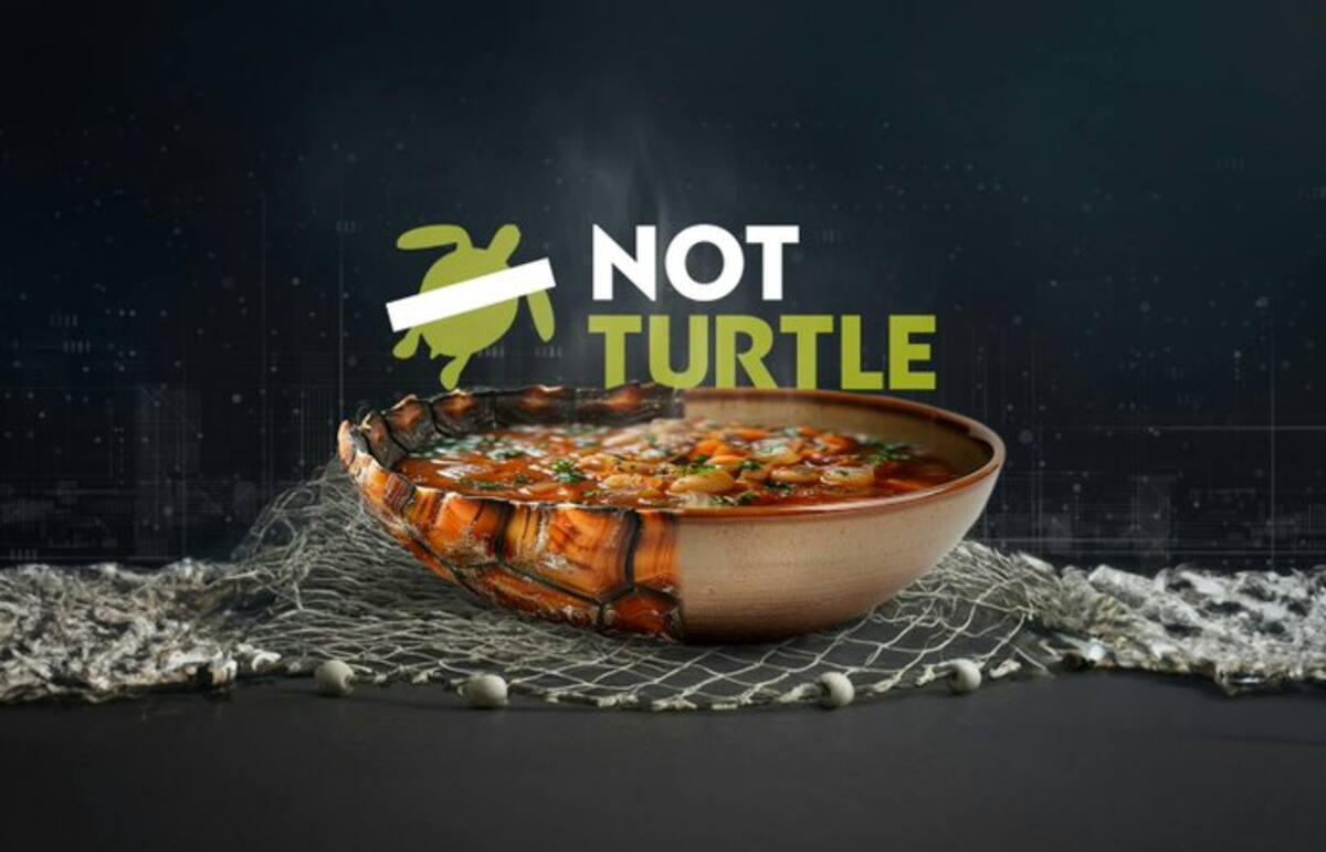 La sopa de tortuga se consume en países como Perú, Ecuador y México. Tomada de X / VANGUARDIA