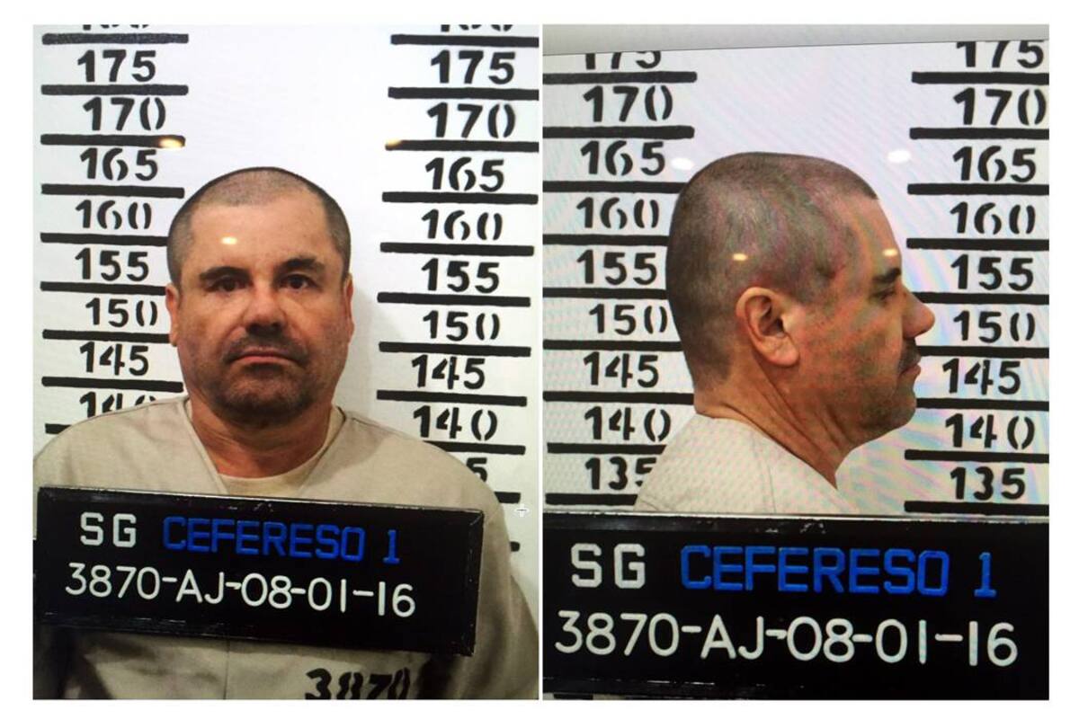 ‘El Chapo’ tenía identificada a Kate del Castillo como “Ermoza”, en su lista de contactos. (Foto: EFE / VANGUARDIA LIBERAL)
