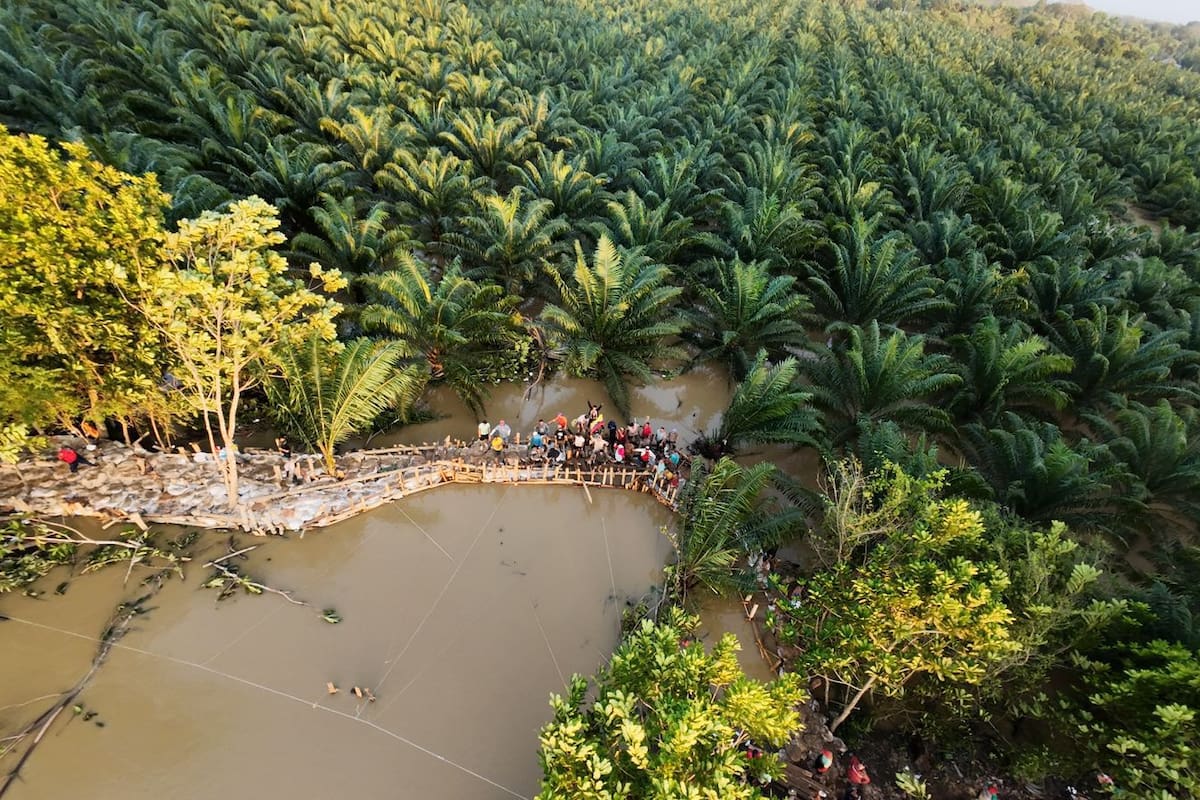 Cerca de 30.000 hectáreas perdidas y una represa al límite: la crónica de la inundación en Córdoba que Colombia no puede ignorar.