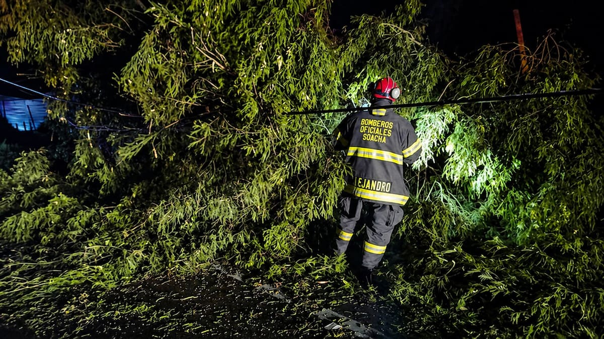 El municipio de La Calera enfrenta una de sus emergencias más complejas del año tras el desbordamiento del río Teusacá, afectaciones en viviendas y la ruptura de una tubería que generó vertimientos al afluente, encendiendo alertas en toda la región.