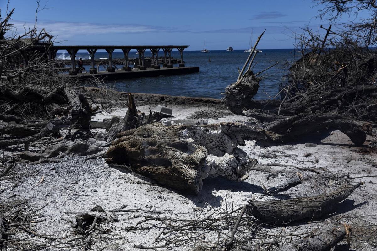 ETIENNE LAURENT / EFE