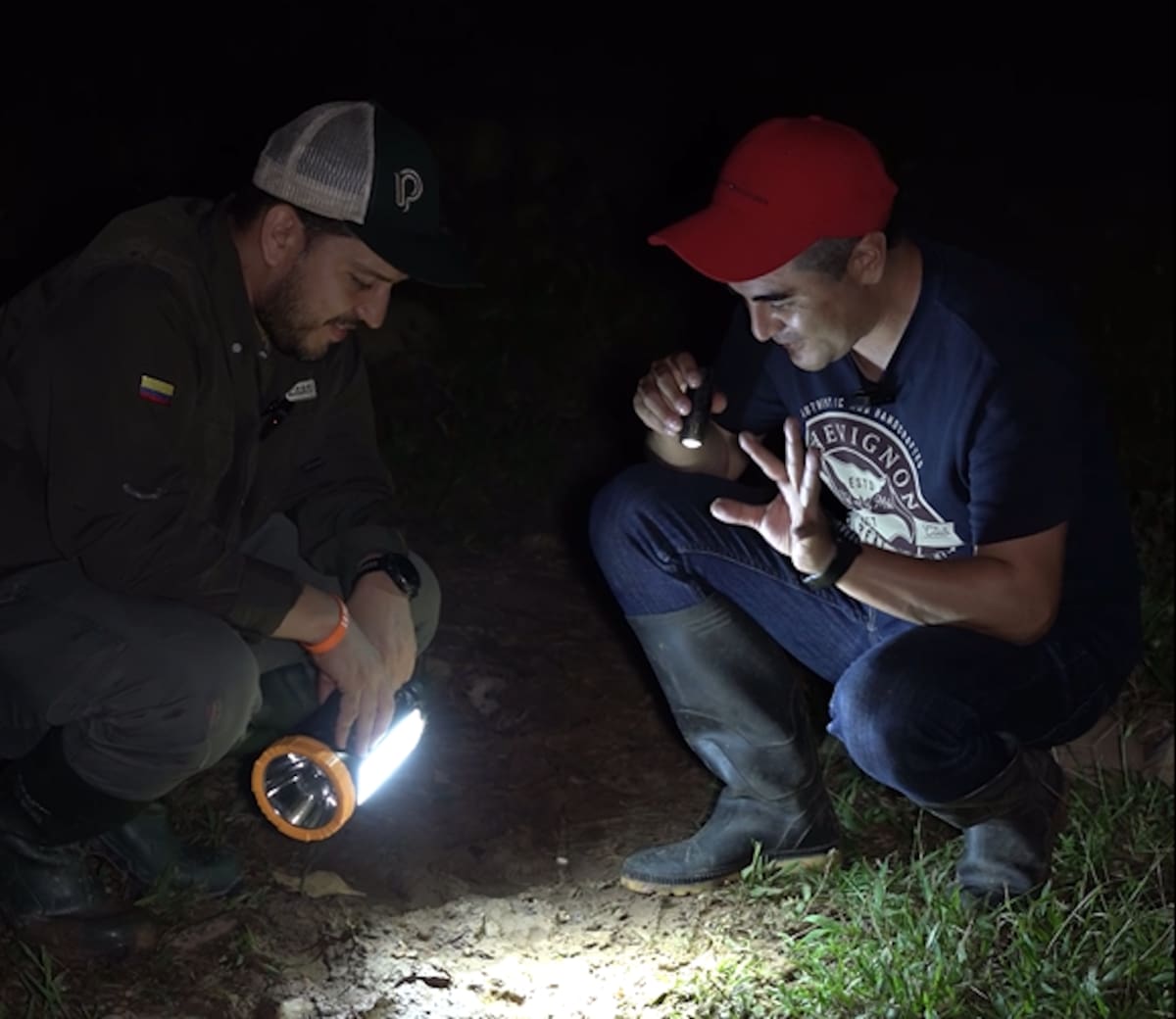 Jaguares en Barrancabermeja