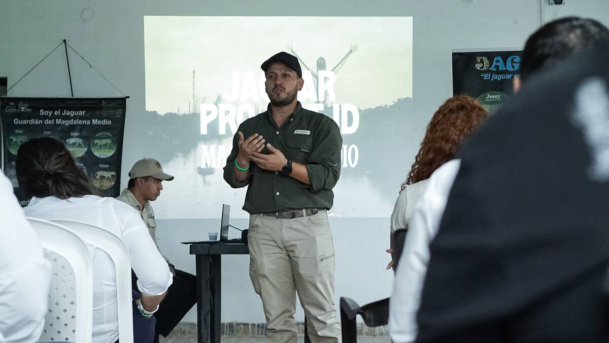 Avanza el proyecto de conservación de jaguares en Barrancabermeja. Juan Ortega/Vanguardia