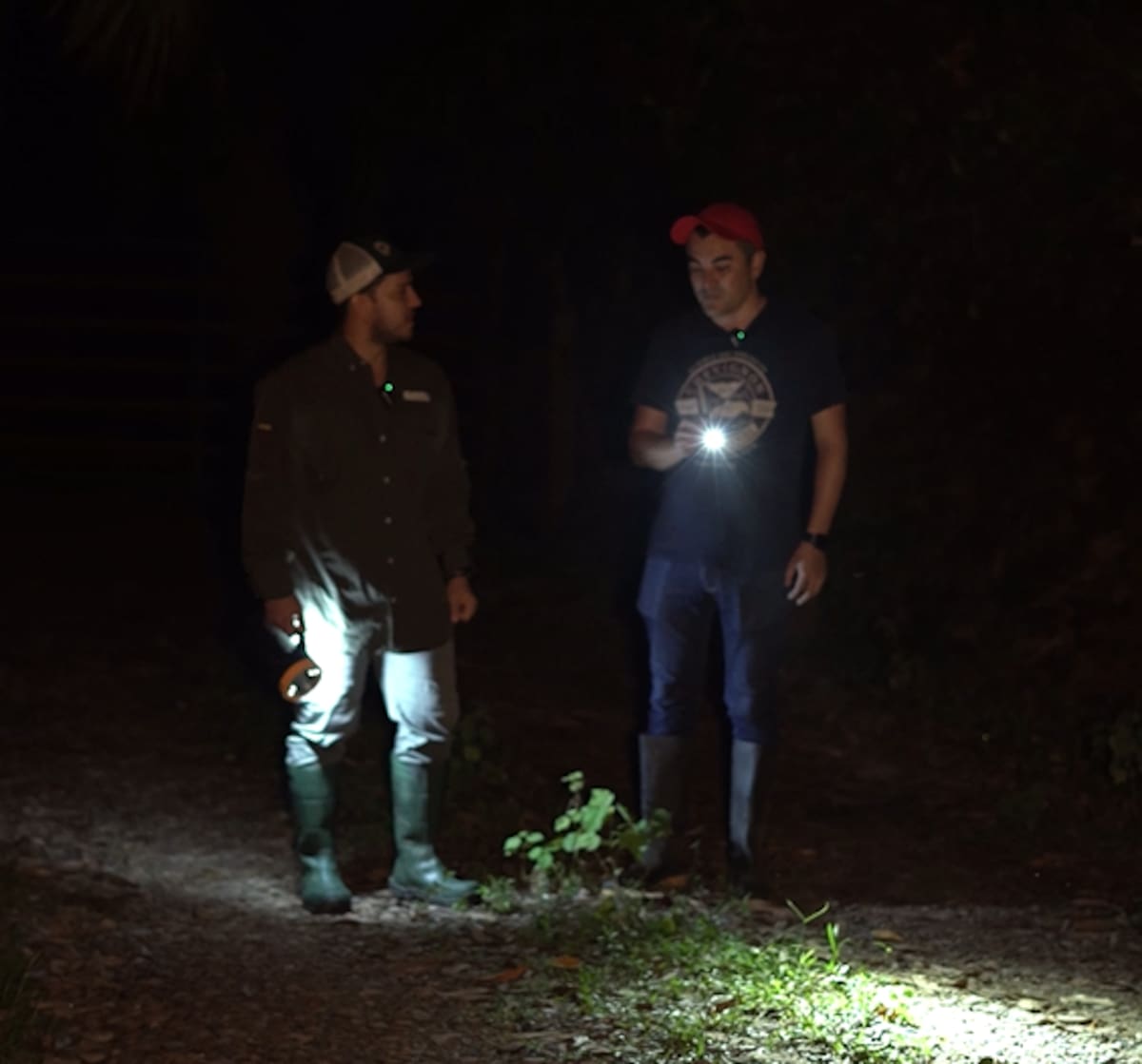 Jaguares en Barrancabermeja