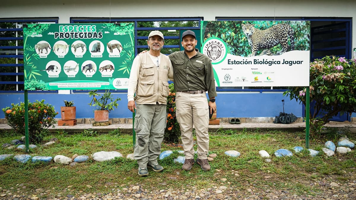 Avanza el proyecto de conservación de jaguares en Barrancabermeja. Juan Ortega/Vanguardia