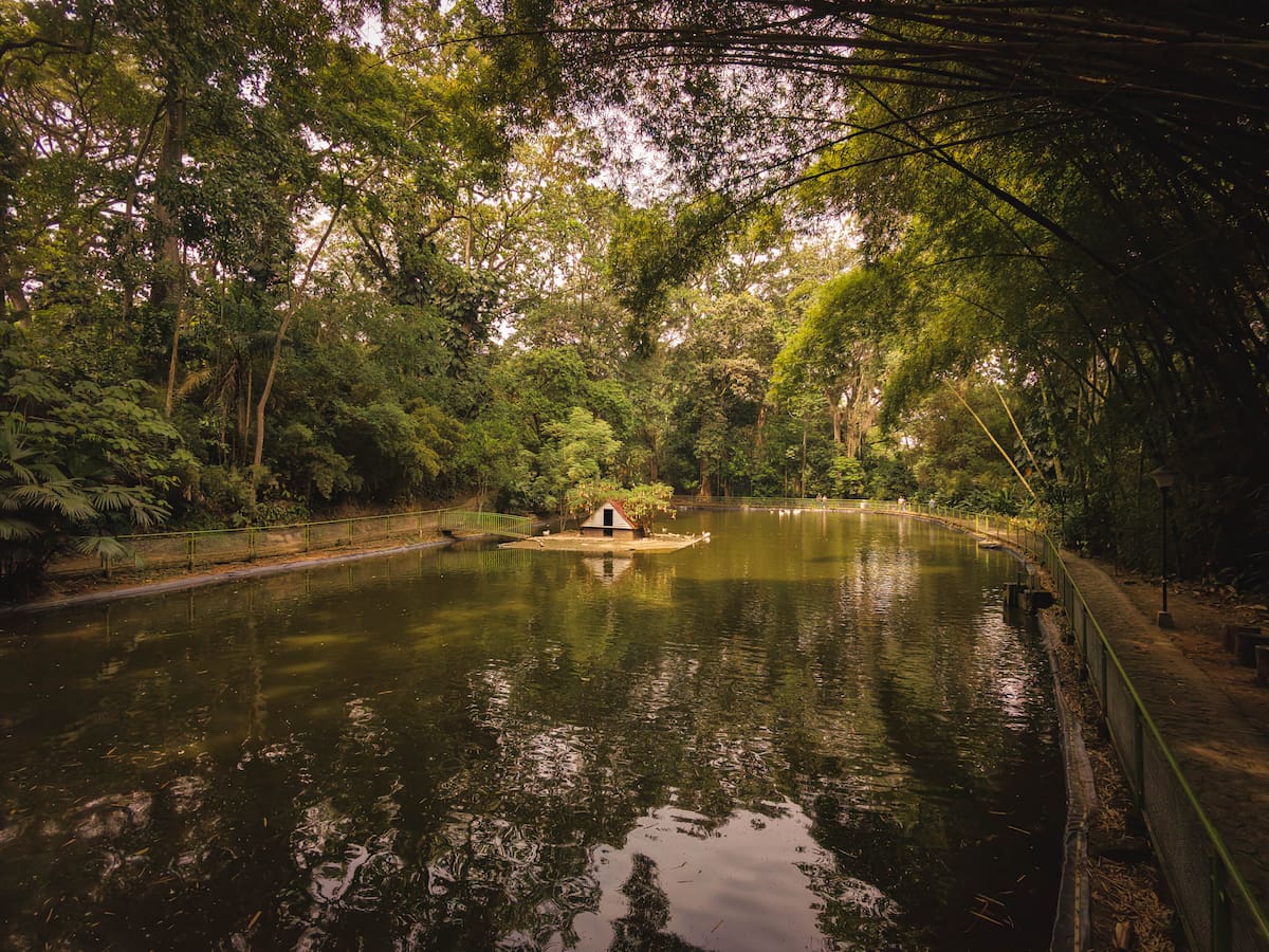 Hermoso lago del Jardín Botánico Eloy Valenzuela. (Foto: Byron Pérez / VANGUARDIA)