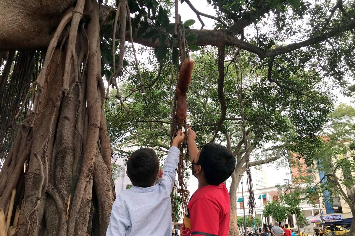 Expertos aseguran que cuando damos alimento a las especies silvestres, provocamos en ellas la pérdida de la capacidad de subsistir por sí mismas. (Foto: Jaime del Río / VANGUARDIA)