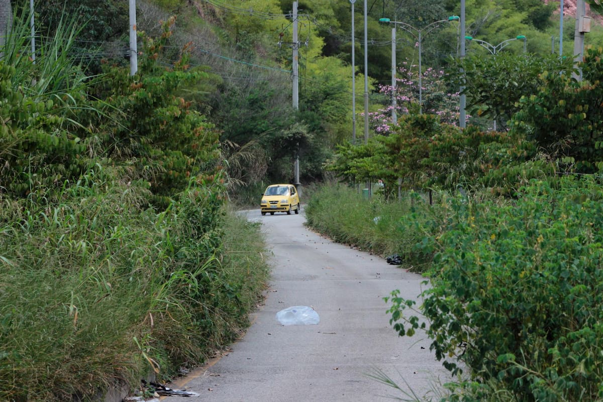 Carcomido por la maleza se encuentra uno de los corredores viales más importantes del área metropolitana de Bucaramanga. No hay garantías de seguridad para los conductores que se movilizan por la zona. (Fotos: Jaime del Río / VANGUARDIA)
