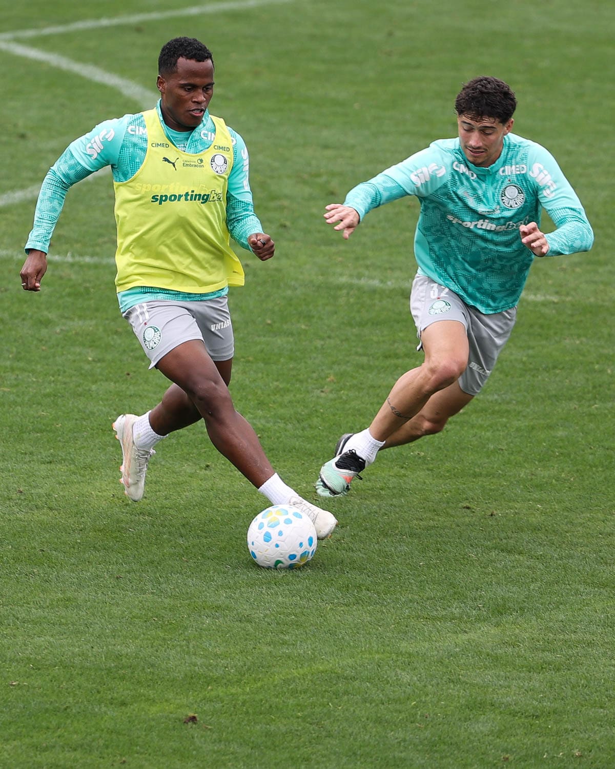 Jhon Arias encendió las alarmas en Palmeiras: esta es la lesión que lo alejará de las canchas. Foto: Palmeiras