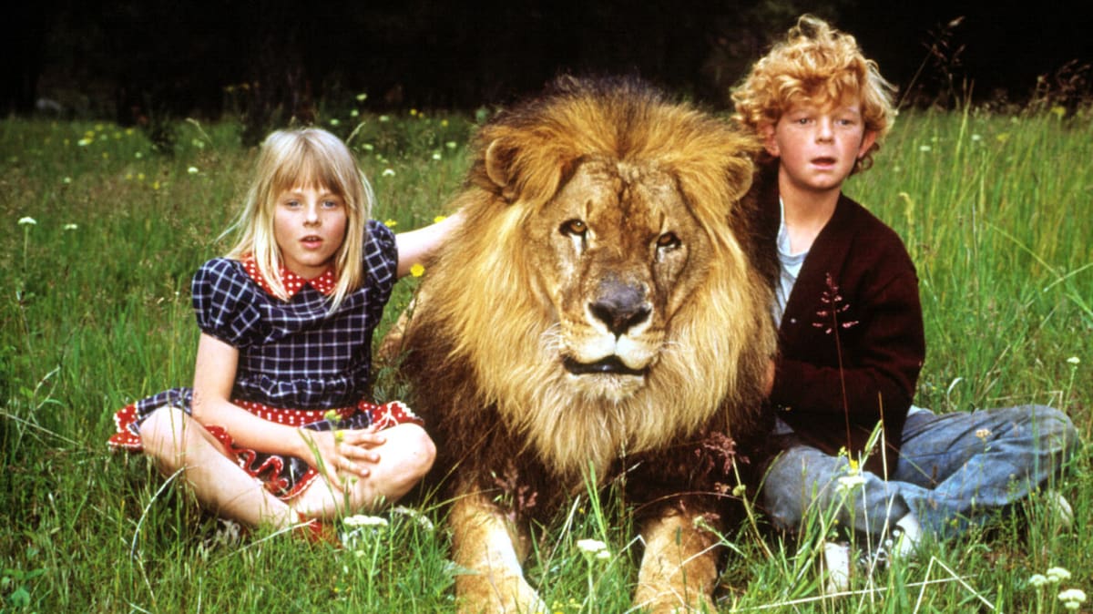Así fue el ataque de un león que traumatizó la infancia de Jodie Foster en los años 70. Los camarógrafos huyeron del lugar.