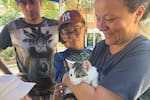 ¡Prográmese! Este domingo hay jornada de adopción y vacunación de perros y gatos en Bucaramanga