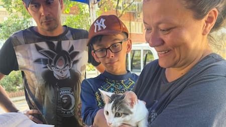 ¡Prográmese! Este domingo hay jornada de adopción y vacunación de perros y gatos en Bucaramanga