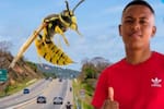 Joven murió tras ser picado por una avispa mientras se movilizaba en motocicleta