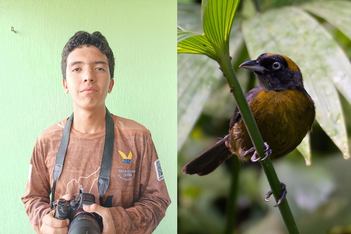 El proyecto de Juan Sebastián Ávila consiste en divulgar el avistamiento de aves, así que creo un sistema con el que las personas en condición de discapacidad y puedan disfrutar también de esta actividad. Foto: IG @juanpajarero_aves
