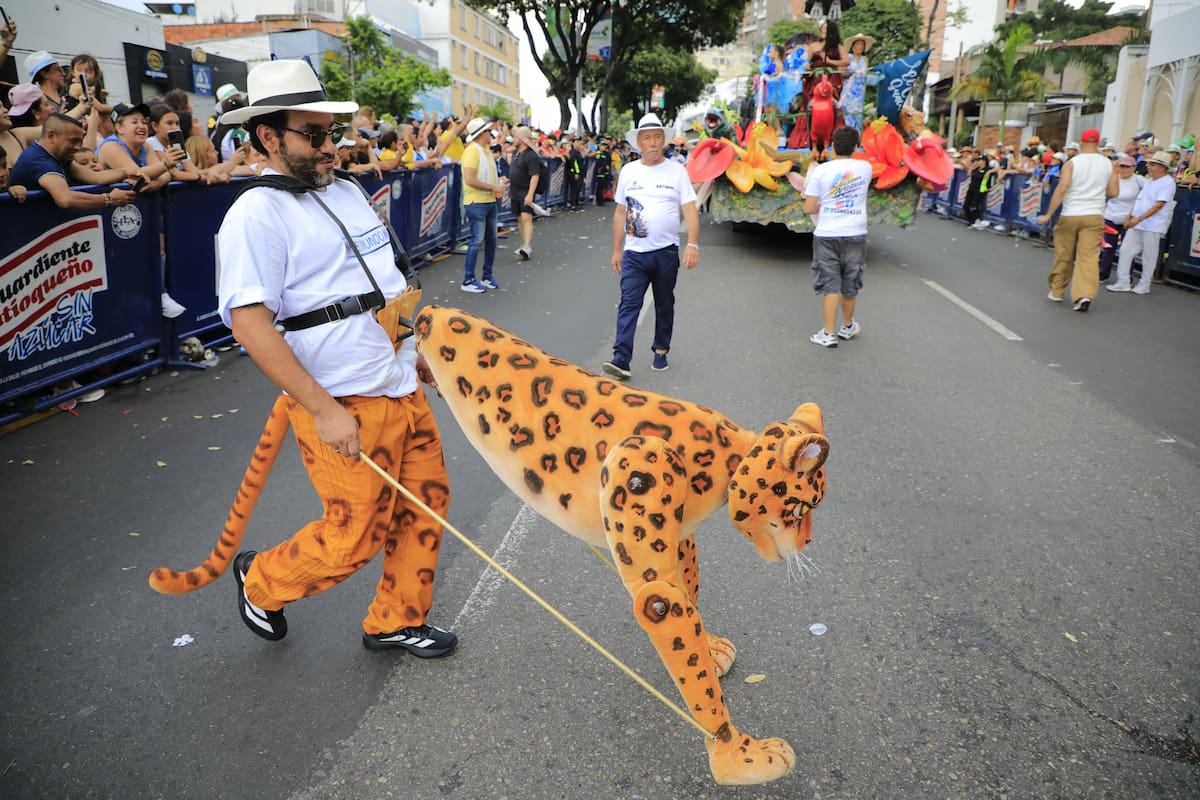 El jaguar, el oso andino, el cóndor, el frailejón y las mariposas fueron algunos de los protagonistas de una carroza que sorprendió a los bumangueses y que sirve como adelanto del espectáculo ‘Páramo’ que tendrá Navimundo este año. Foto: Jaime Moreno.