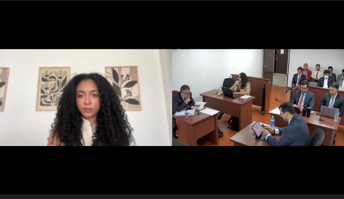 Juliana Guerrero aceptó su responsabilidad por el delito de fraude procesal. // Externos Colprensa