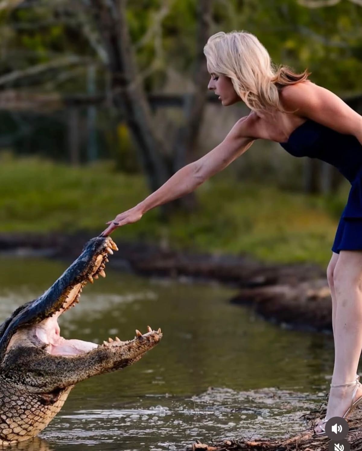 Estudiante universitaria glamorosa toma fotos de graduación alucinantes de ella besando a un caimán de cuatro metros.
Kat Daley, de 22 años, quien ayuda a dirigir Gator Country en Beaumont, Texas, con su prometido Eddie, dijo que no sintió miedo durante la sesión.