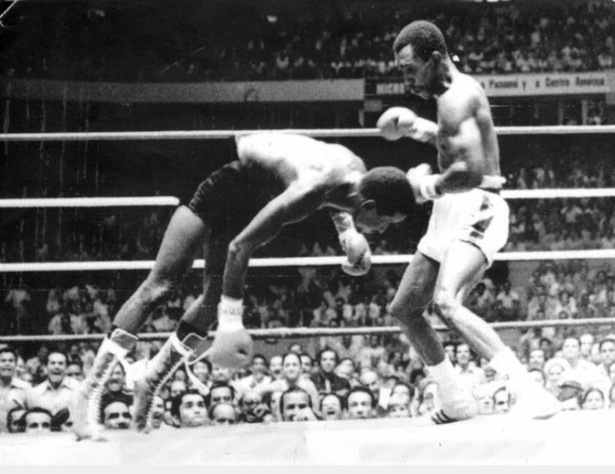 Kid Pambelé llegó a 80 años: el bendito 23 de diciembre del hombre que le enseñó a Colombia a ganar. Foto: Comité Olímpico Colombiano.