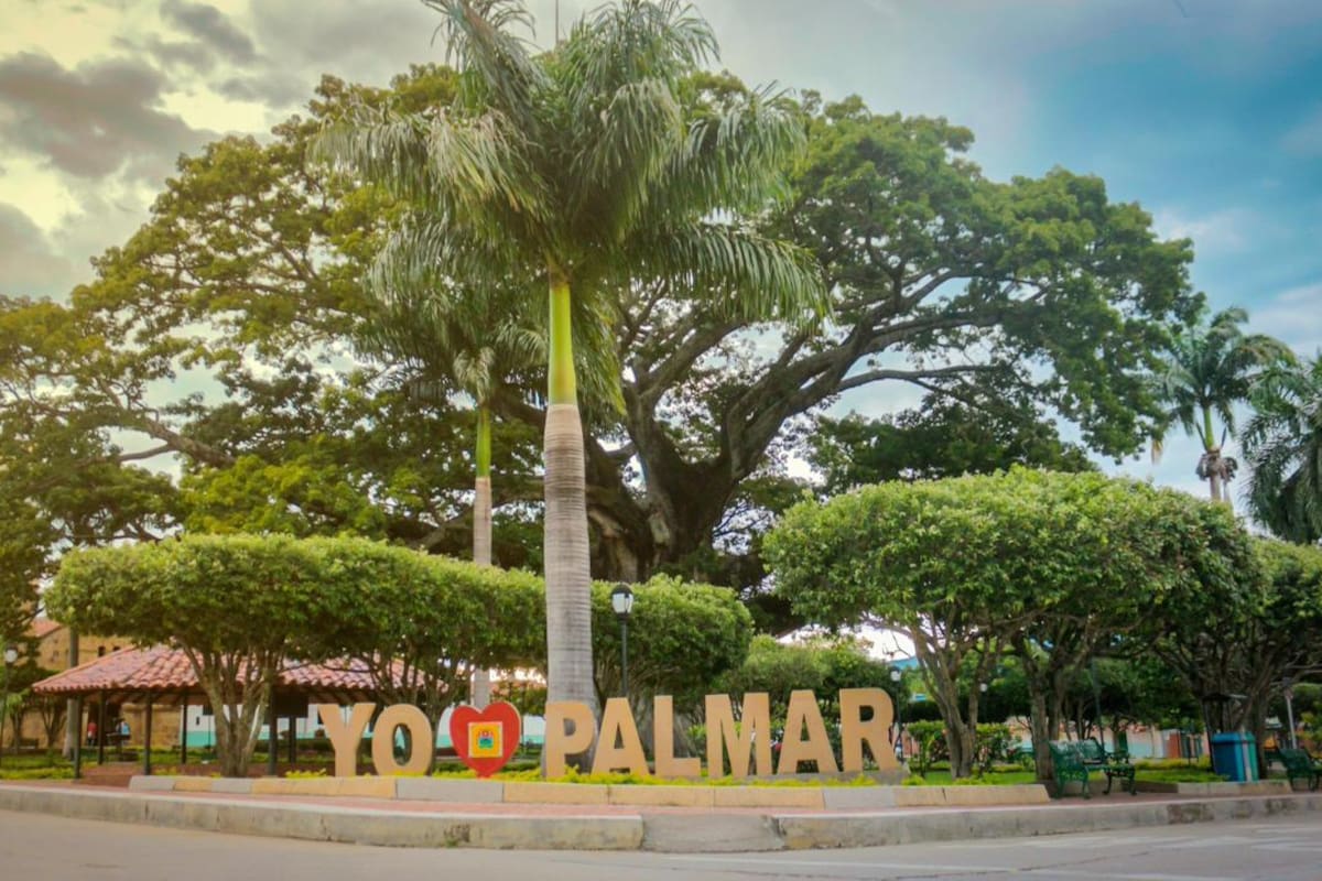 La ceiba de El Palmar es uno de los principales patrimonios y referentes que tiene el municipio de la provincia Comunera.