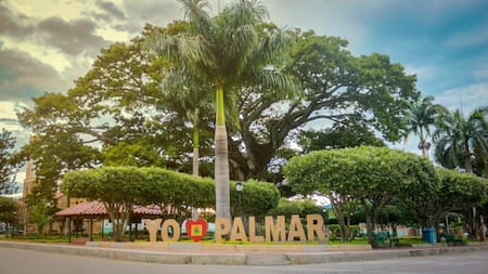 El Palmar busca proteger su ceiba de más de 300 años como Patrimonio Natural