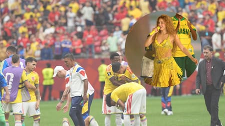 El emotivo mensaje de Shakira tras la eliminación de Colombia: “Este equipo nos hizo sentir muy orgullosos”