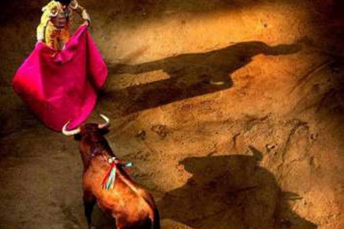 Barbosa se convierte en escenario de un choque entre tradición y legalidad, luego de que la Alcaldía impulsara una corrida de toros que defensores de los animales califican como ilegal y contraria al marco constitucional vigente.