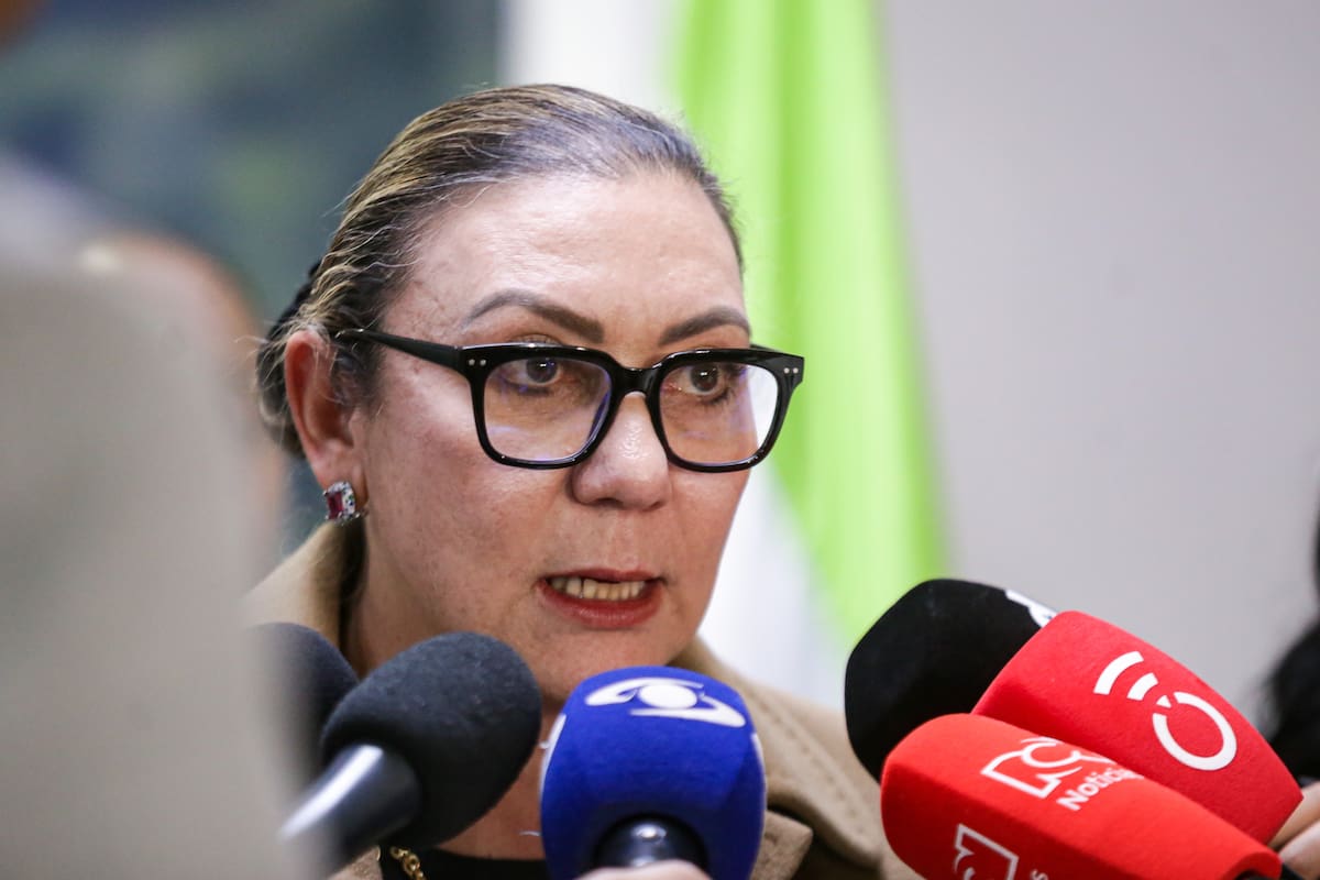 La nueva directora del Instituto Colombiano de Bienestar Familiar (ICBF), María Carolina Restrepo. // Foto: Colprensa - Cristian Bayona.