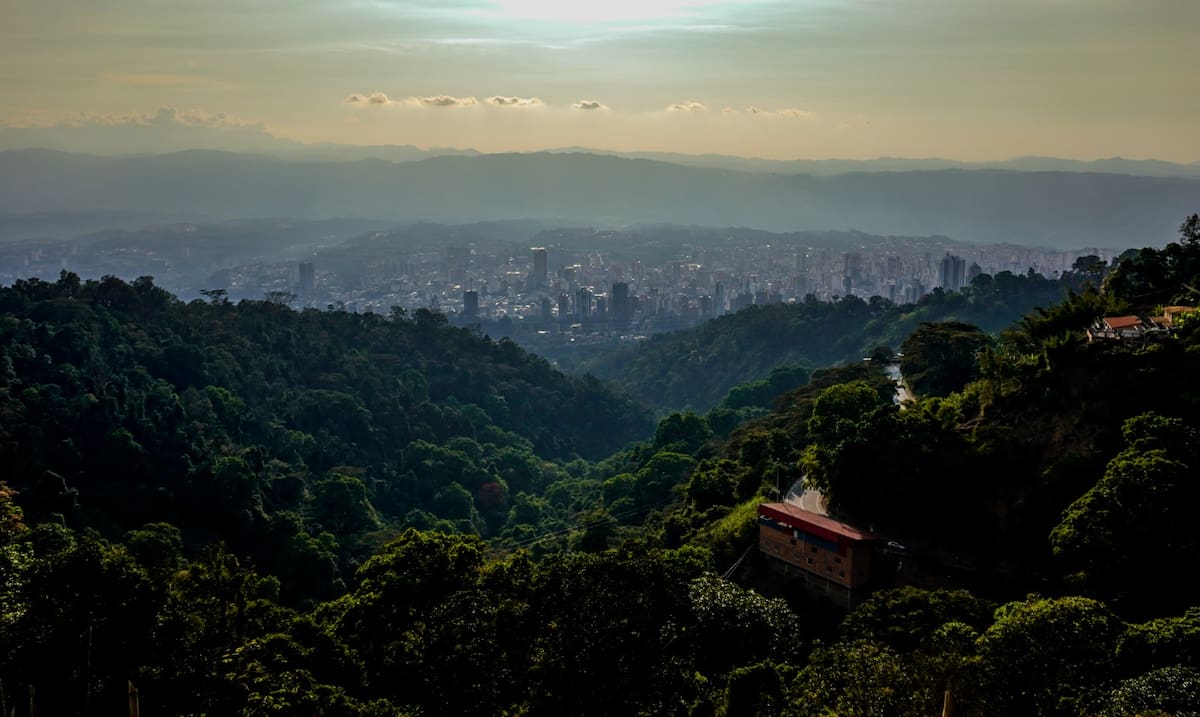 La historia detrás de una siembra de tomates, en Santander. Foto: Marco Valencia