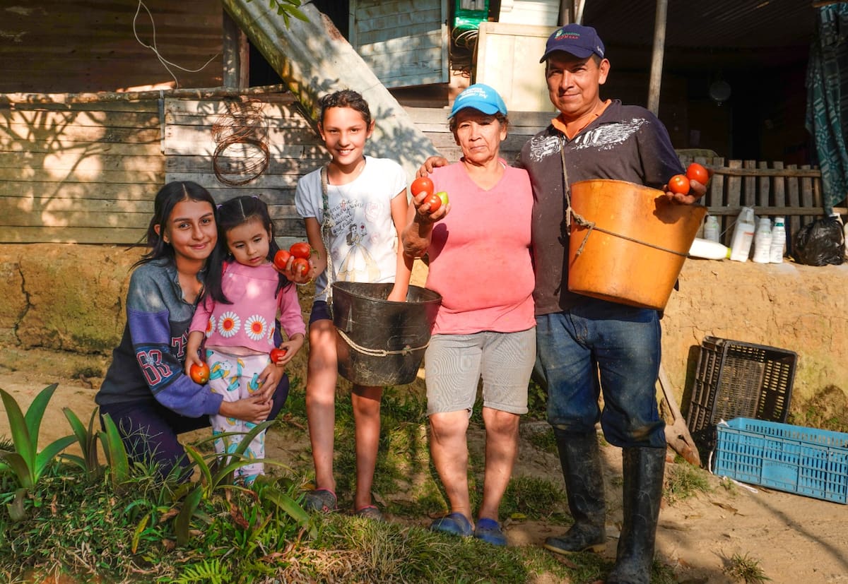 La historia detrás de una siembra de tomates, en Santander. Foto: Marco Valencia