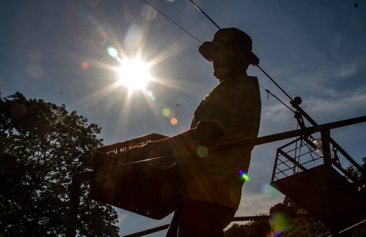 La historia detrás de una siembra de tomates, en Santander. Foto: Marco Valencia