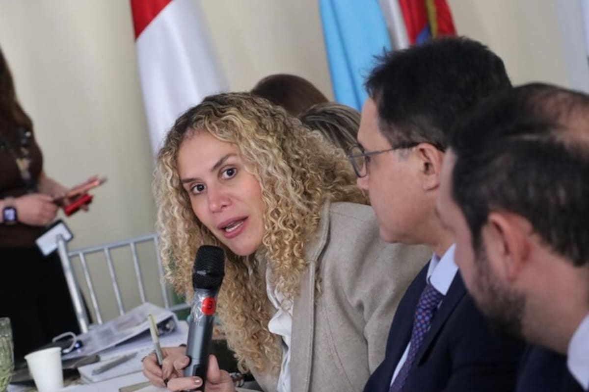 El Ministerio del Trabajo instaló mesas técnicas para revisar los casos de empleados con fuero sindical y proteger sus derechos laborales. En la foto, la ministra de Trabajo, Natalia López. Foto: Colprensa