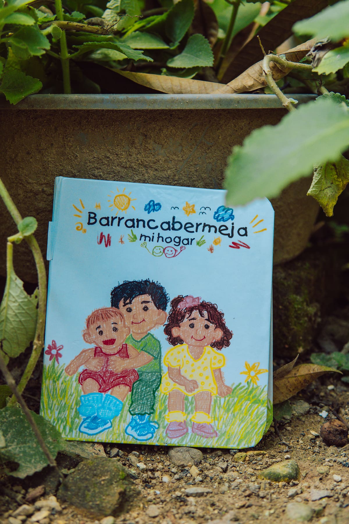 Suministrada/VANGUARDIA